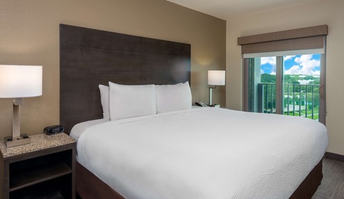 Standard Room, 1 King Bed, Accessible, Refrigerator & Microwave (with Sofabed)