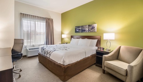 Room, 1 King Bed, Accessible, Non Smoking