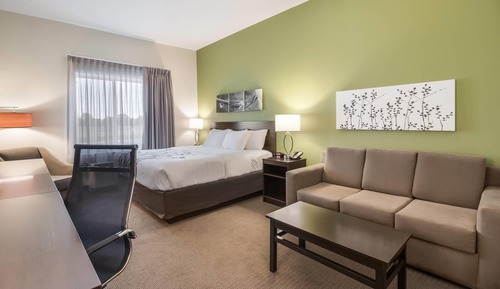 Suite, 1 King Bed with Sofa bed, Accessible, Non Smoking