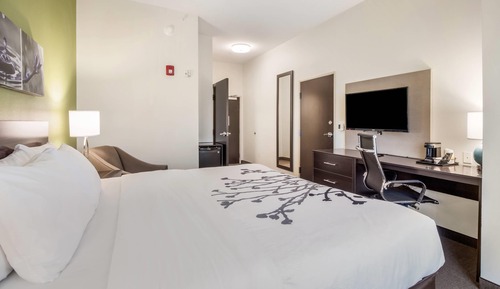 Standard Room, 1 King Bed, Non Smoking