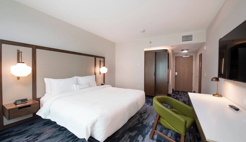 Room, 1 King Bed with Sofa bed
