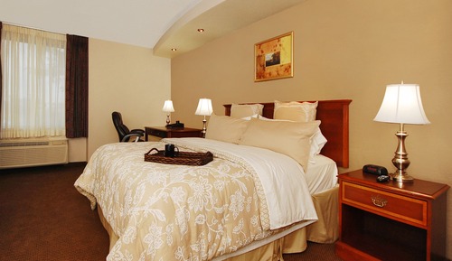 Standard Room, 1 King Bed, Non Smoking, Pool View