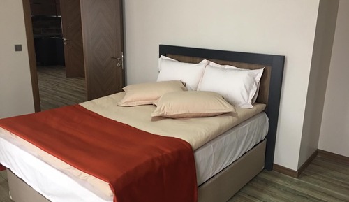 Standard Suite