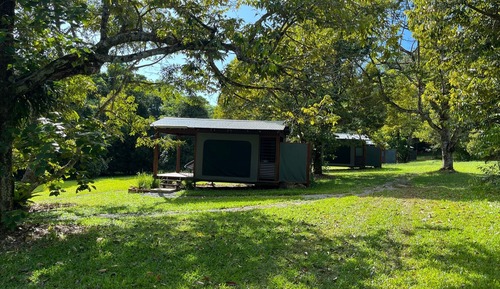 Basic Cabin