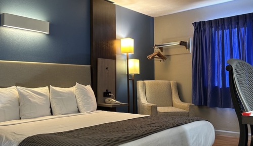 Standard Room, 1 King Bed, Non Smoking