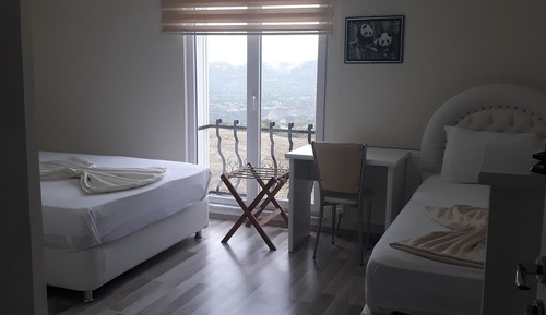 Deluxe Double or Twin Room, City View