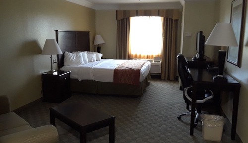 Economy Single Room, 1 King Bed
