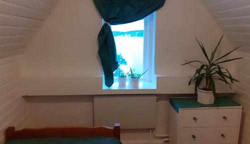 Suite (Grön)