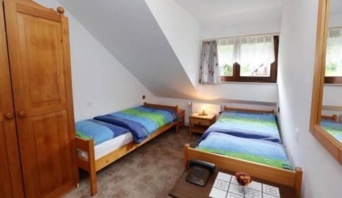 Basic Twin Room
