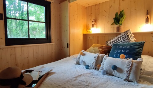 Premium Cabin