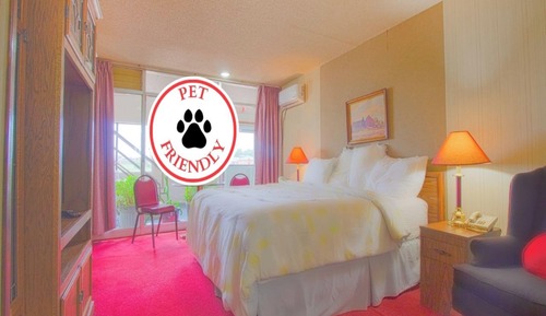 Suite, 1 King Bed