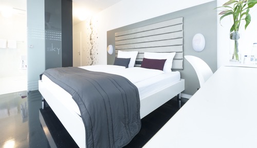 Business Double Room