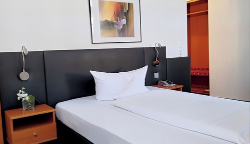 Business Single Room, 1 Queen Bed, Non Smoking