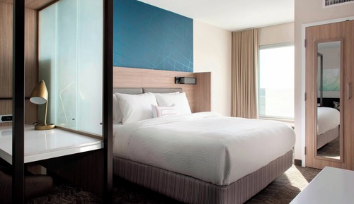 Suite, 1 King Bed with Sofa bed (Mobility/Hearing Access, Roll-in Shwr)