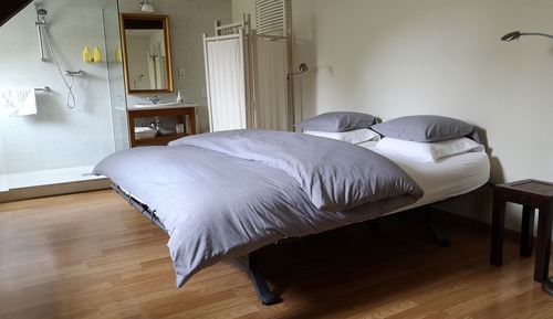 Comfort Room, 1 King Bed, Garden View