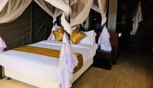 Luxury Tent, 1 Queen Bed, Non Smoking