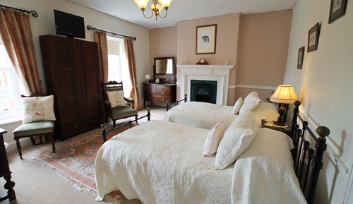 Deluxe Twin Room (Holly)