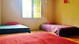 Room, Mixed Dorm, one bed