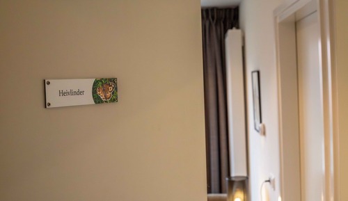 Apartment, Balcony (Heivlinder)