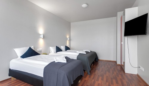 Studio, Multiple Beds - Three Adults