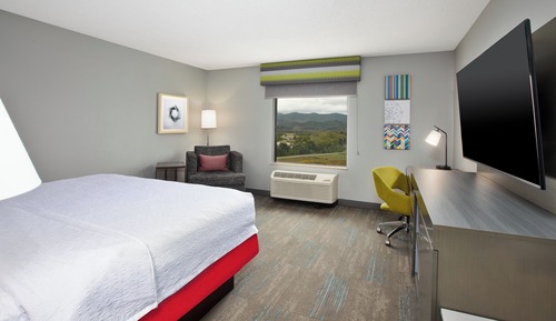 Room, 1 King Bed with Sofa bed, Non Smoking, Mountain View