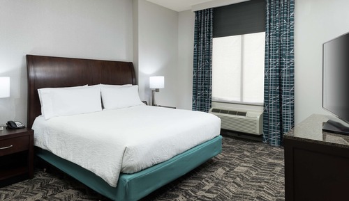 Suite, 1 Bedroom, Accessible (Roll-in Shower)
