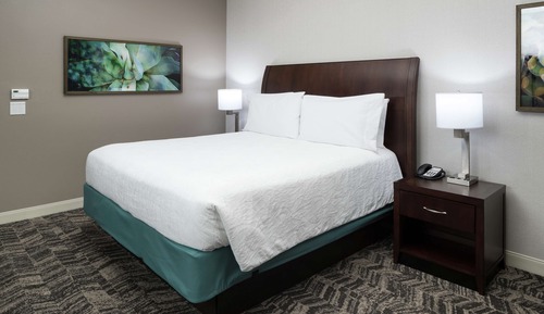 Room, 1 King Bed, Accessible (Roll-In Shower)