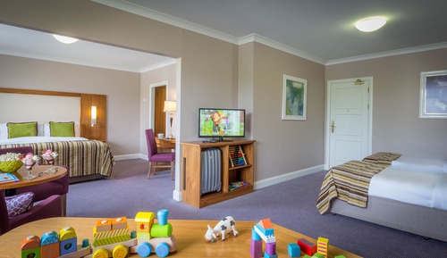 Superior Family Suite 