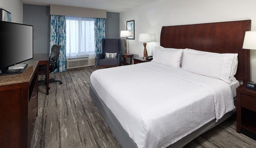 Room, 1 King Bed