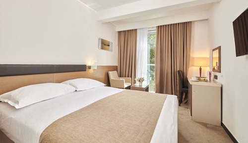 Economy room with french bed