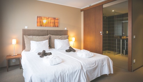 Superior Room (Spa Access Included)