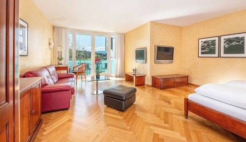 Junior Suite, 1 Queen Bed, Balcony, Mountain View