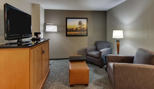 Deluxe Room, 1 King Bed, Refrigerator & Microwave (Oversized, Upper Floor)
