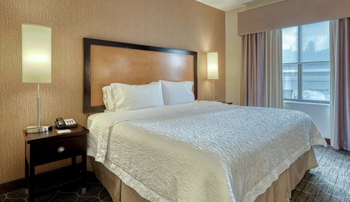 Room, 1 King Bed, Accessible, Non Smoking