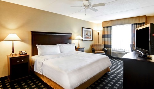 Suite, 1 King Bed, Accessible