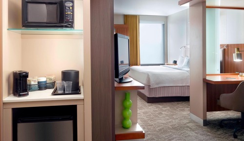 Suite, 1 King Bed with Sofa bed (Mobility/Hearing Access, Roll-In Shwr)