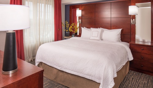 Studio, 1 King Bed with Sofa bed, Non Smoking (Mobility Accessible, Roll-in Shower)