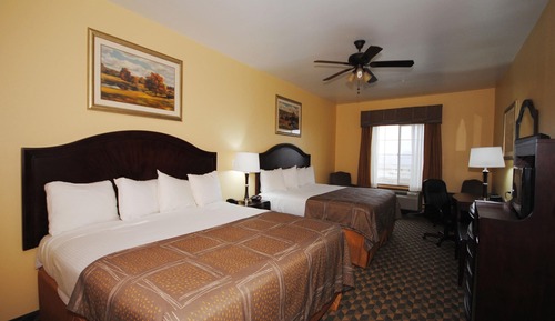 Standard Room, Multiple Beds, Non Smoking, Microwave