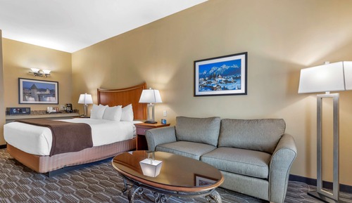 Standard Room, 1 King Bed, Non Smoking, Patio (with Sofabed)