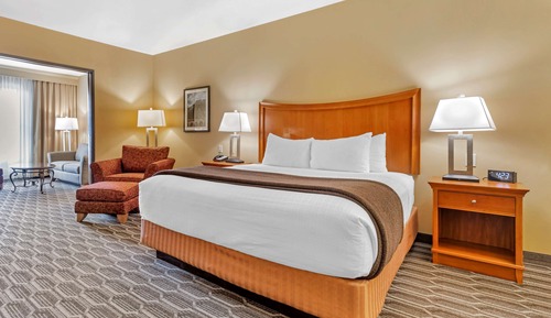 Suite, 1 King Bed, Non Smoking (Separate Living Room;with Sofabed)