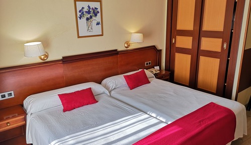 Standard Twin Room
