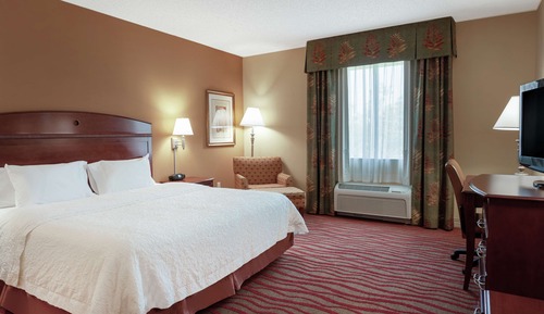 Room, 1 King Bed, Accessible, Non Smoking