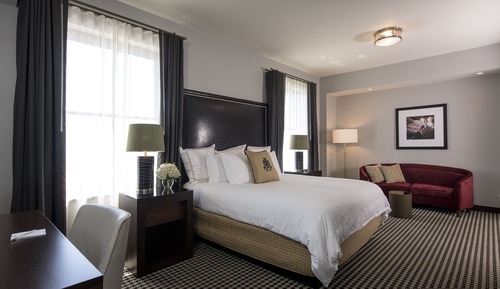 Suite, 1 King Bed (Studio )