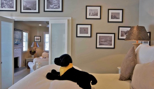 Suite 19