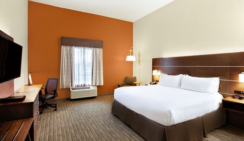 Standard Room, 1 King Bed (310 Sq Ft)