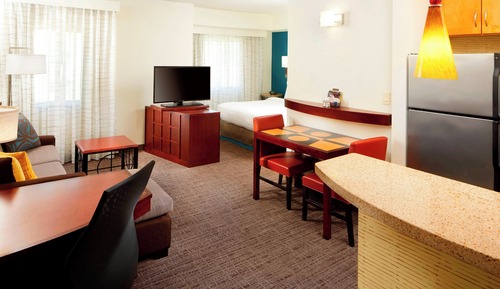 Executive Studio, 1 King Bed with Sofa bed