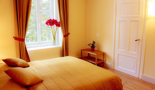 Junior Apartment