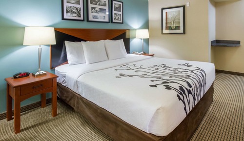Standard Room, 1 King Bed