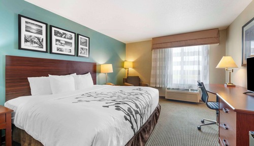 Standard Room, 1 King Bed, Non Smoking