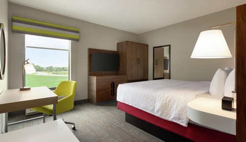 Room, 1 King Bed (Shower)